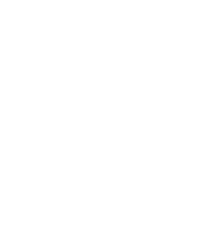 FeGu Festival Guards